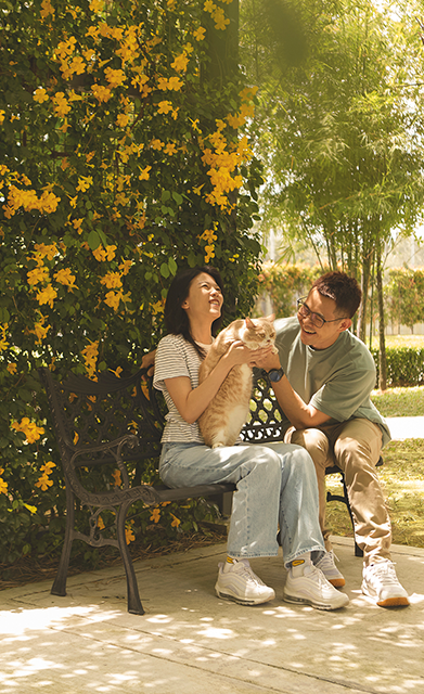 More Projects Coming Soon 3