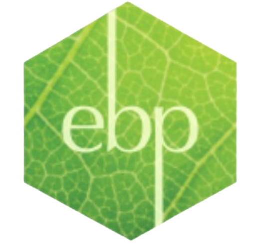 EBP1